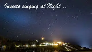 Summer Night Insects sound music for Deep Sleep #meditation #relaxingmusic
