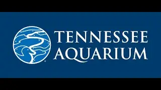 It's National Pollinator Week at the Tennessee Aquarium.
