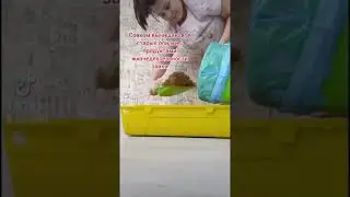 Убралась у кролика в клетке shots🐰