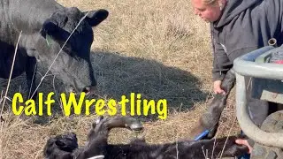 Mama's not Happy