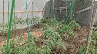 😃Один день на даче, обзор проделанной работы😃