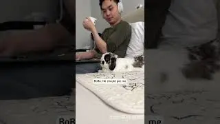 My bunny is quite vocal (Part 1)  🐰
