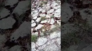 "Свидание со Знанием" К.Кастанеда.