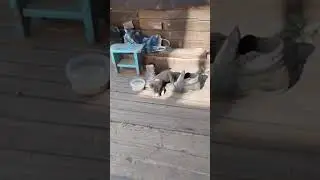 Душа не терпит пустоты!