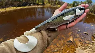 Fishing a SMALL RIVER for HUGE MUSKY!