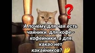 Для хорошего настроения. Смех. Юмор. Позитив.