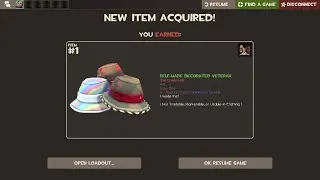 [TF2] Self-Made Decorated Veteran drop