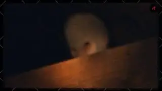 Scary Creatures Caught on Camera at Night