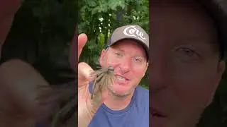 Selecting The Rod To Match The Bait For Flipping and Pitching 