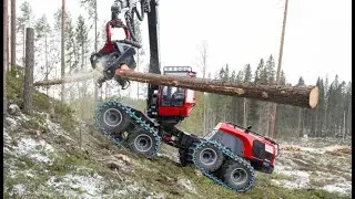 Красивая заготовка леса