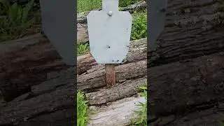 75g BTHP AAC ammo at 500 yards