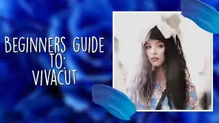 Beginners guide to VivaCut
