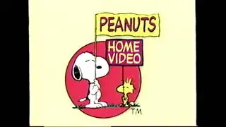 you wanna talk about p**** videos?
