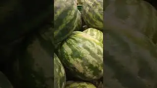 Арбуз.Цена.Магазин Велмарт#арбуз#цена#велмарт