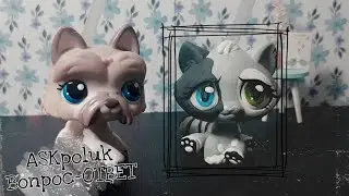 LPS: asKролик//Вопрос-ответ #8//