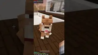 Mostrei meu pet na live de #minecraft #pets #minecraftshorts #games #shorts