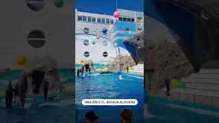 Bailarle el agua a alguien