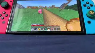 Minecraft but I’m Vegan