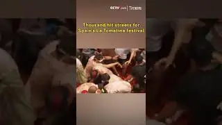Thousand hit streets for Spain's La Tomatina festival