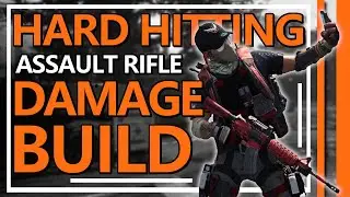 Hard Hitting Assault Rifle Damage Build | The Division 2