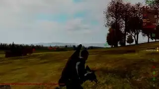 Wait What!