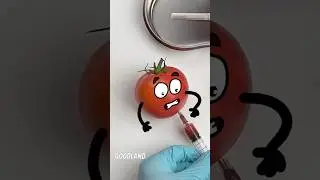 Goodland | Tomato donor🩸