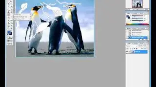 How to use eraser tool in adobe photoshop