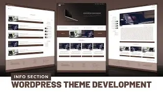 Info Section [Part 5] - WordPress Theme Development