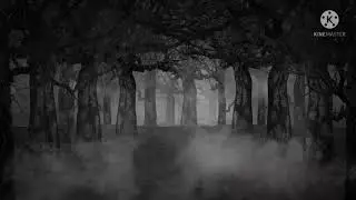 Spooky night... jungle background// green screen //video effect Haunted full HD no copyright