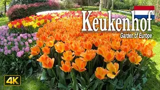 Keukenhof, Netherlands 🇳🇱 Walking Tour in 4K