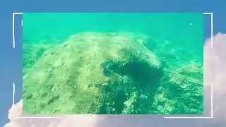 Подводный мир в близи мыса Промтеп!