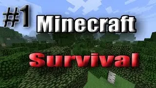 minecraft  sp #1