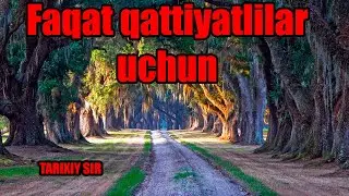 FAQAT QATTIYATLILAR UCHUN...
