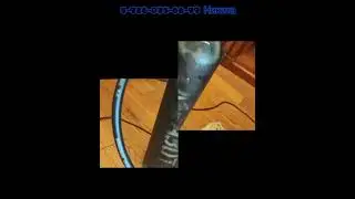 Ремонт винного шкафа EUROCAVE SERVITHEQUE 283V2 Не охлаждает Москва 8-926-035-66-99 Никита