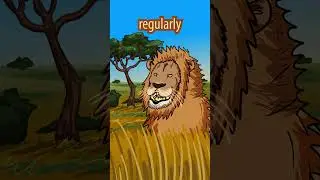This Lion makes everyone uncomfortable 