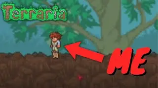 Terraria, But I Started With ONE BLOCK