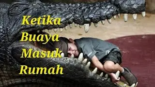 Video Viral Buaya Masuk Rumah
