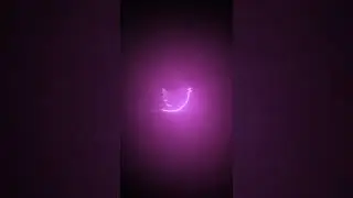 Twitter Logo Reveal Animation | After Effects | 
