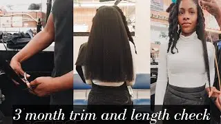 My AMAZING Journey with Chebe. I grew 3 Inches in 3 Months - Hair Update - 2nd Trim