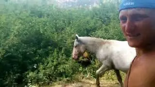 Купание с лошадьми в Узундже.