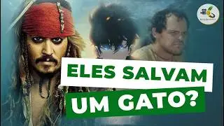 O que ELES tem a ver com UM GATO?! (Técnica de Roteiro)