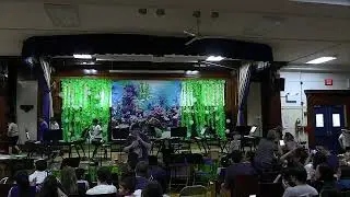 PS88Q Band 