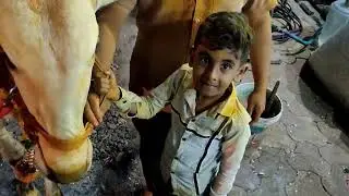 बैल पोळा 2022 .मिरवणुकीवरून आल्यावर.महाराज ग्रुप ,गुळवे परिवार.भोसरी.