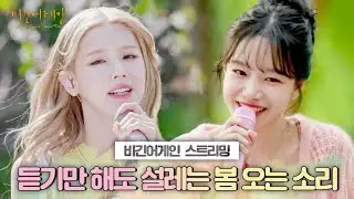 [▶️𝑷𝑳𝑨𝒀𝑳𝑰𝑺𝑻] 오늘 같은 날씨에 딱🎧 비긴어게인 플레이리스트｜산책｜노동요｜청소｜드라이브｜야근할때｜휴식