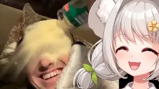 VTUBER REACTS TO MEMES (Meme React Highlights #1)