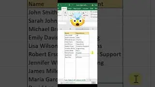 Excel Auto-Adjust Column Width (How To)