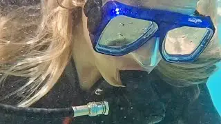 Дайвинг в красном море