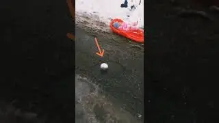 сніжки #сніжки #snow