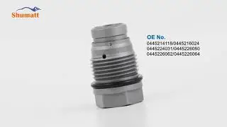 Common rail pressure limited valve | 1110010015 | hot sell |