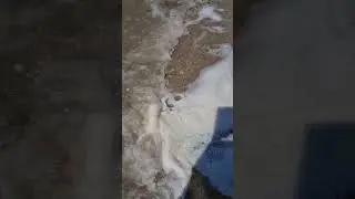 В ГОСТЯХ У МАМУЛИ❤️АЗОВСКОЕ МОРЕ 🌊 #любовь